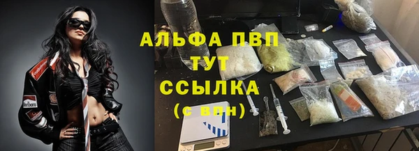 бошки Козельск