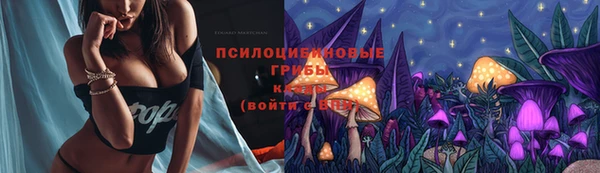 бошки Кодинск