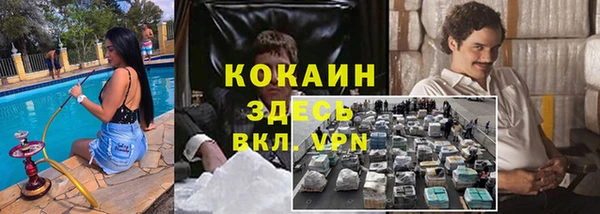 бошки Кодинск
