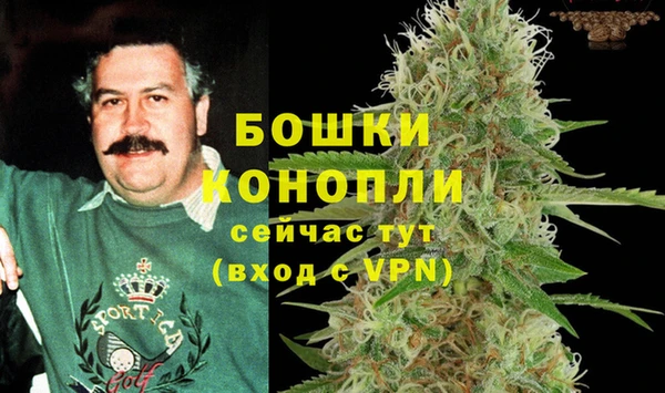 бошки Кодинск