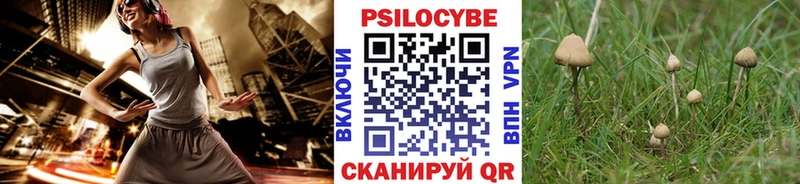 Псилоцибиновые грибы Magic Shrooms  Купить где  Завитинск 